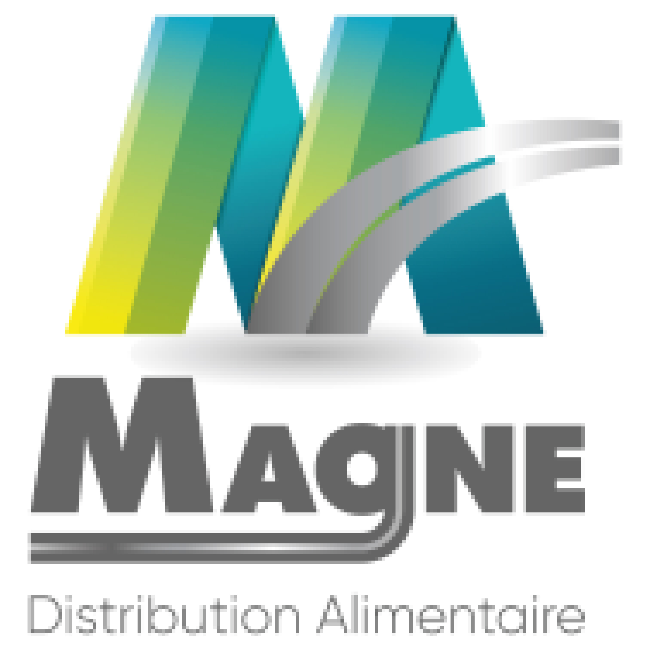 MAGNE-QV-pixel